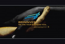 SDE DESIGNS FRONTPAGE  OF BRININVEST'S WEB